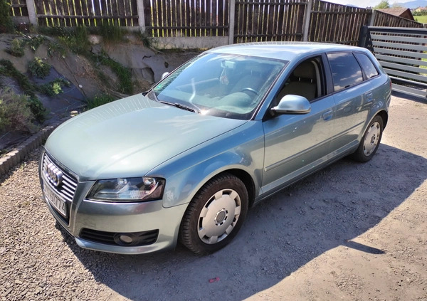 Audi A3 cena 25700 przebieg: 260000, rok produkcji 2010 z Żywiec małe 29